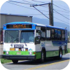 Valley Metro Roanoke fleet images